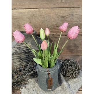 Oudroze tulpen boeket, 7 stelen - 45 cm