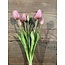 870179 - tulp classic vintage pink 7 stelen