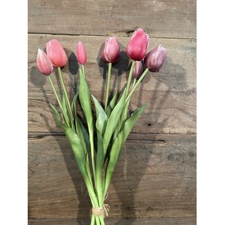 Roze tulpen boeket, 7 stelen