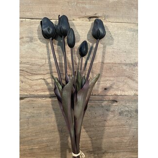 Zwarte tulpen boeket, 5 stelen
