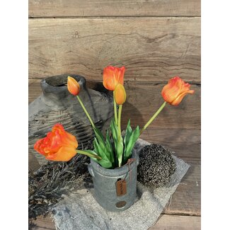 Brynxz Oranje tulpen, 5 stelen 47 cm