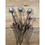 Countryfield Bos grijze tulpen - 5 stelen