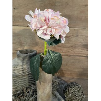 Lichtroze hortensia 48 cm