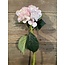 Hydrangea Artist pink 48cm - hortensia