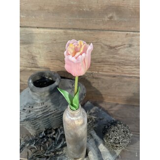 Brynxz Roze tulp "Papageien"  47 cm