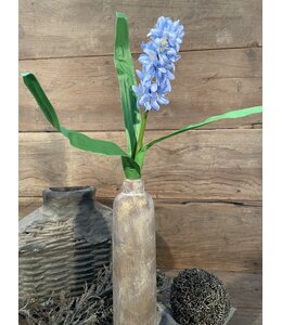 ## Blauwe hyacint 45 cm