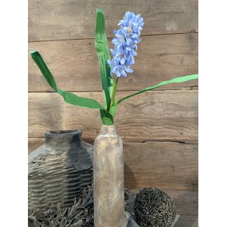 Blauwe hyacint 45 cm