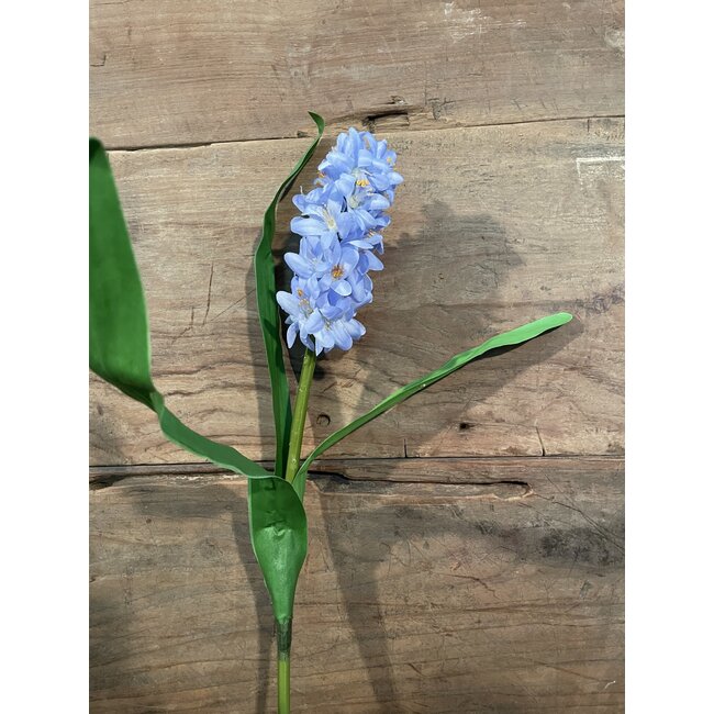 HYACINTH STEM H 45 CM BLUE