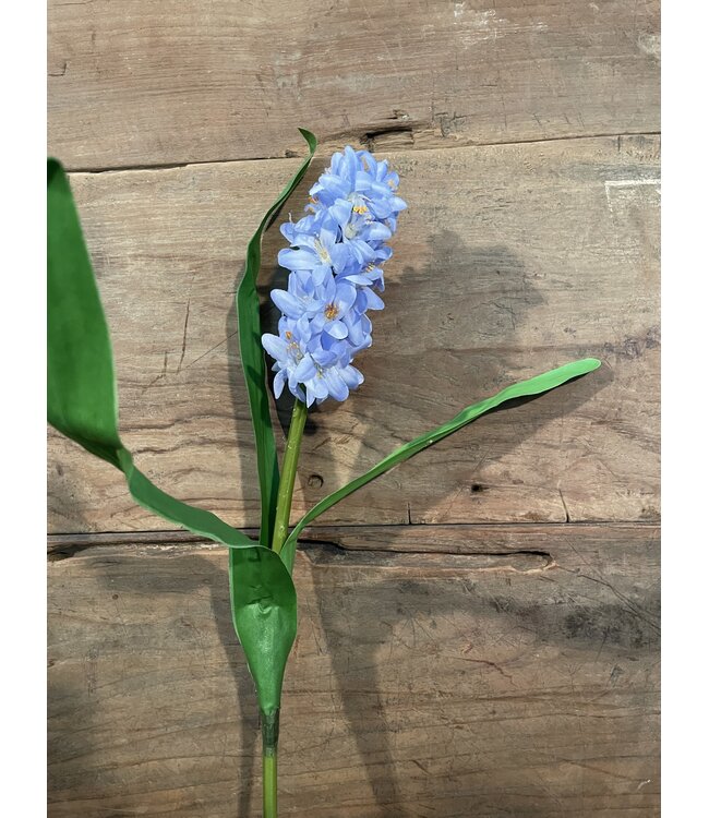 HYACINTH STEM H 45 CM BLUE