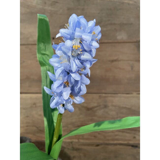 HYACINTH STEM H 45 CM BLUE