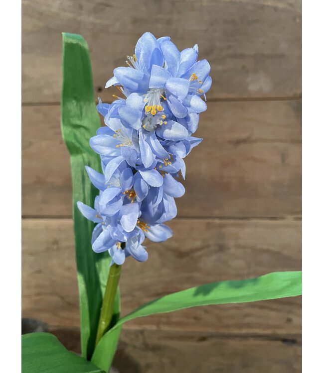 HYACINTH STEM H 45 CM BLUE