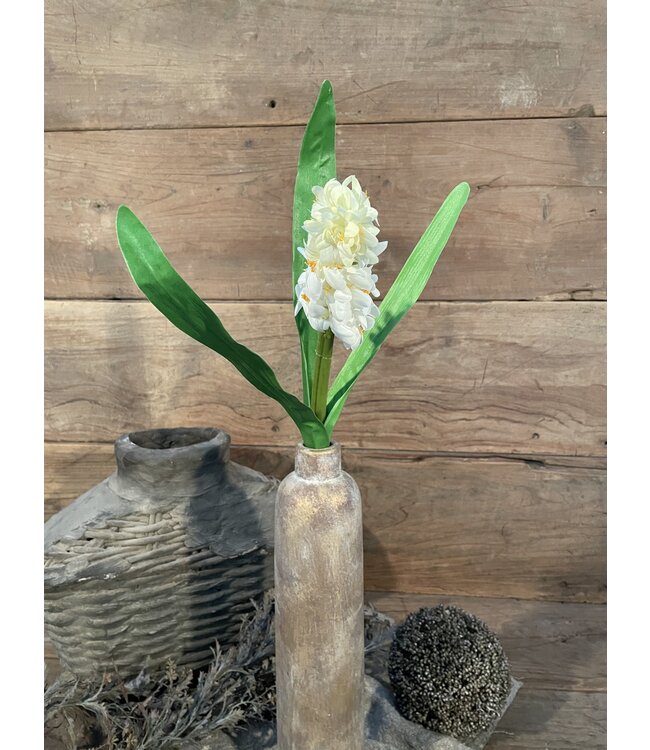 HYACINTH STEM H 45 CM CREAM