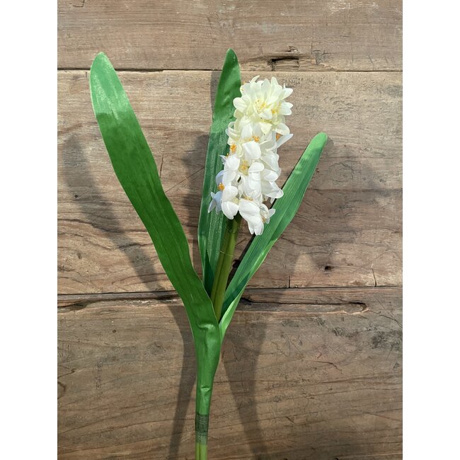 HYACINTH STEM H 45 CM CREAM