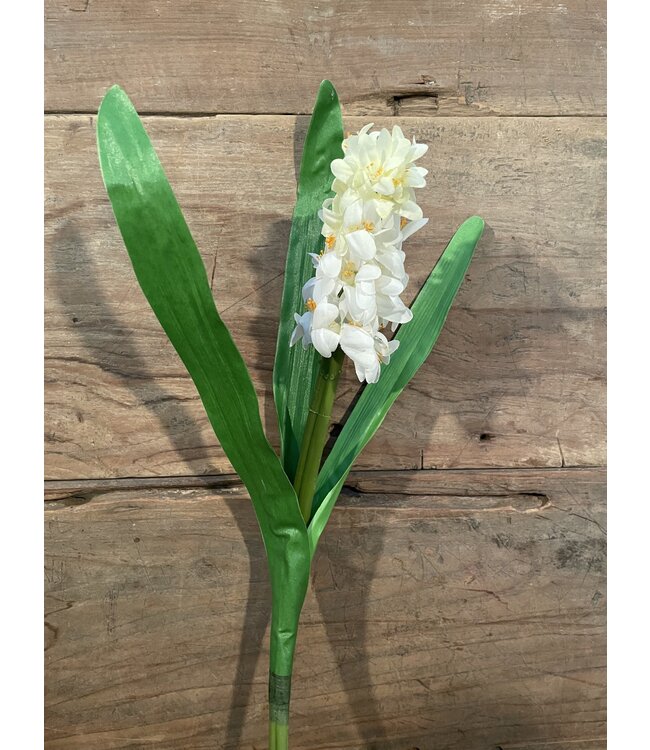 HYACINTH STEM H 45 CM CREAM