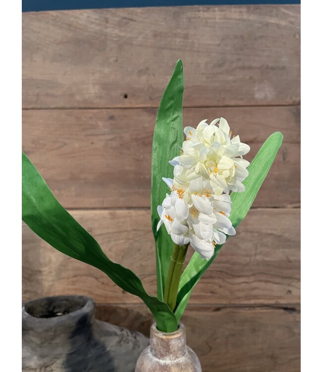 HYACINTH STEM H 45 CM CREAM