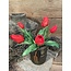 Countryfield 802410 - Tulipa boeket d.rood - tulp - 30 cm