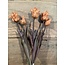 Countryfield 809938 - Tulipa (parkiet) boeket oranje-L16B16H40CM - tulpen