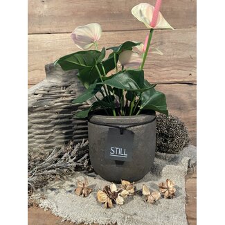 Still # 3473 - Zwart met gouden bloempot "Line" 16 cm - S - Gold