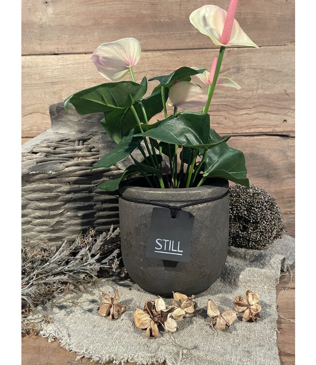 Still 3473 - Planter Line S Gold - Ca. 16 D x 16 H cm  Opening ca. 13 cm