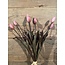 Countryfield Bos roze tulpen - 5 stelen - L15B15H44CM