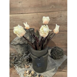 Countryfield ~Wit/creme tulpen boeket - parkiet/kartel - 5 stelen - 40 cm