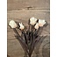 Countryfield 809930 - Tulp Boeket Wit