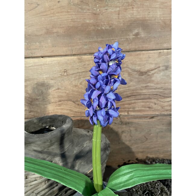 HYACINTH STEM H 45 CM PURPLE