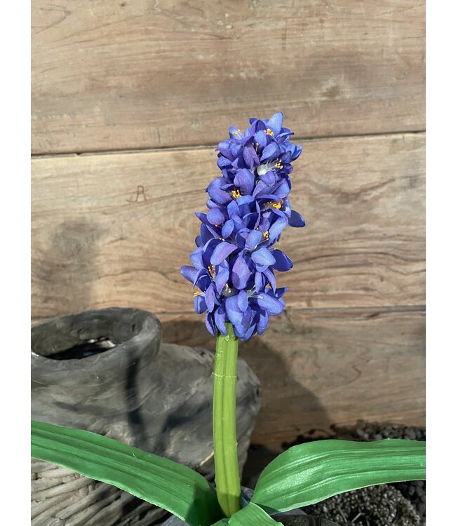 HYACINTH STEM H 45 CM PURPLE