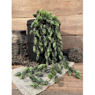 Countryfield ### Humulus Lupulus (Hop) ro groen-L105B15H15CM - Hanger hop - kunst