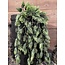 Countryfield # Humulus Lupulus (Hop) ro groen-L105B15H15CM - Hanger hop - kunst