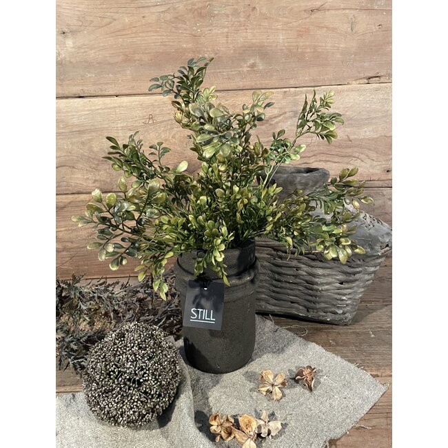 Brynxz LONICERA BUSH GREEN BRONZE L 58 cm