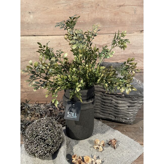 ## LONICERA BUSH GREEN BRONZE L 58 cm