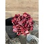 Roze hortensia 62 cm