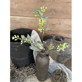 Brynxz Groene eucalyptus "Flower Buds" 50 cm