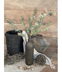 Hottonia Bush Grey 58 cm