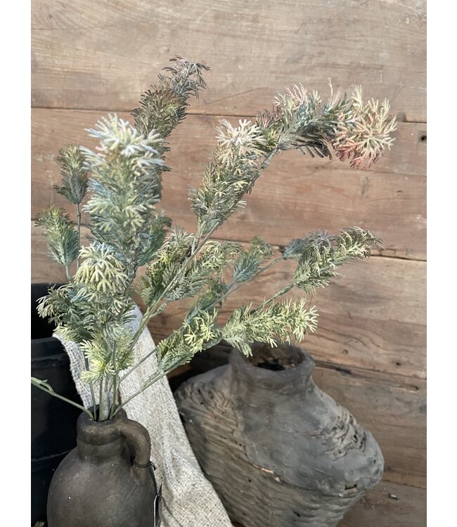 ### Hottonia Bush Grey 58 cm