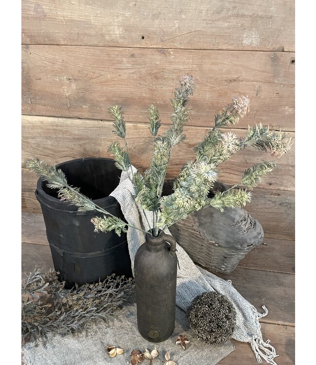 ### Hottonia Bush Grey 58 cm
