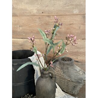 Brynxz Oudroze eucalyptus "Flower Buds" 50 cm