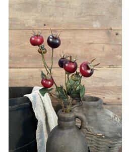 Countryfield Rozenbottel Breona S d.rood-L48B10H3CM