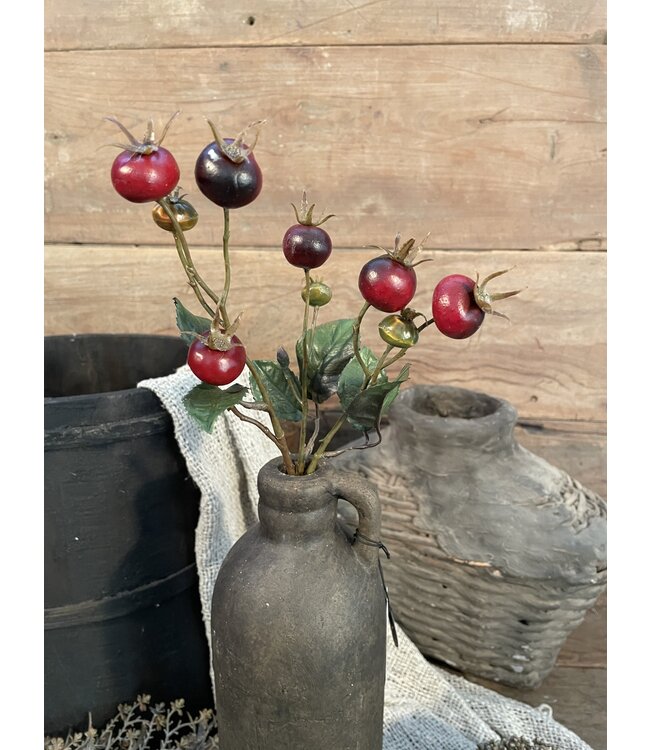 Countryfield Rozenbottel Breona S d.rood-L48B10H3CM