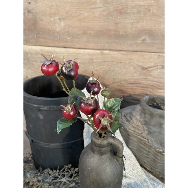 Countryfield Rozenbottel Breona S d.rood-L48B10H3CM