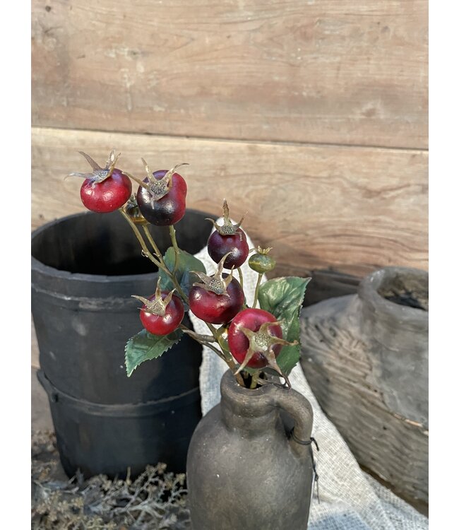 Countryfield Rozenbottel Breona S d.rood-L48B10H3CM