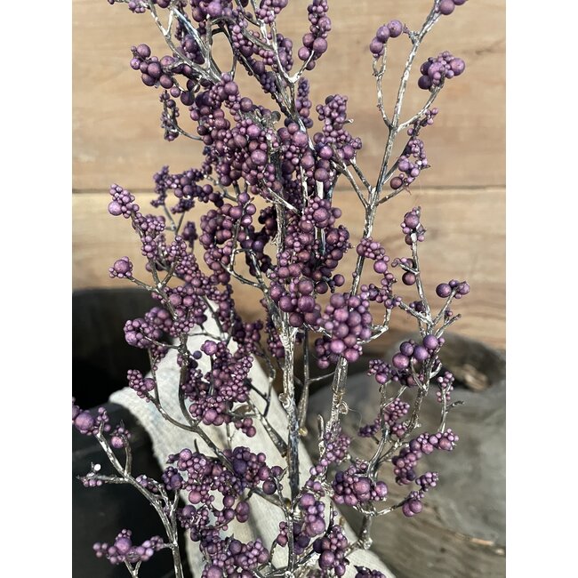 ## Paarse bolletjes tak