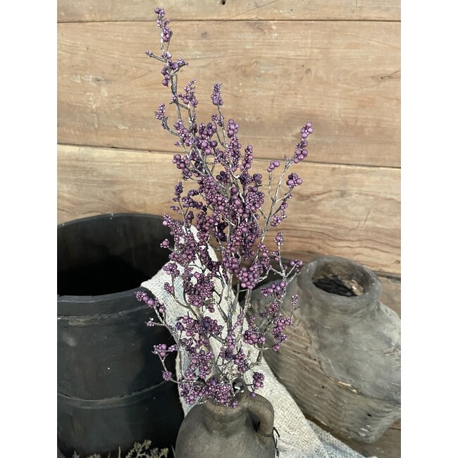 ## Paarse bolletjes tak