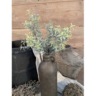 Brynxz ROSEMARY BUSH GREY 36 cm