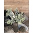 Brynxz ROSEMARY BUSH GREY 36 cm