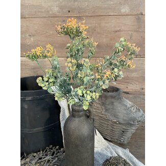 Brynxz Euphorbia Bush Orange 44 cm