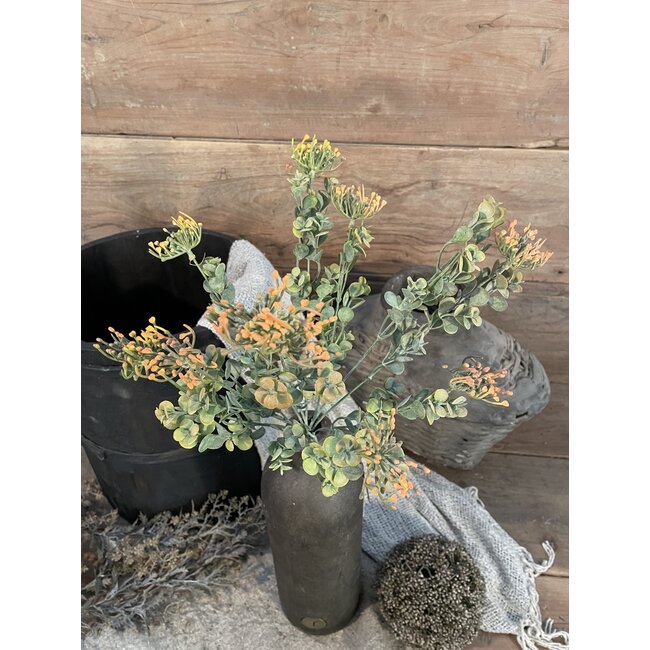 # Euphorbia Bush Orange 44 cm
