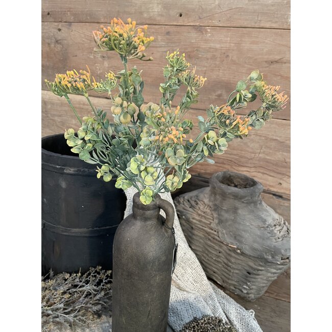 # Euphorbia Bush Orange 44 cm