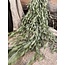 Brynxz ~Hanger Potamogeton Grey 90 cm